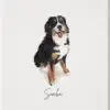 Pet Lover's Bundle